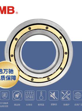 TMB/天马轴承6028M高速电机长寿命低噪单列深沟球轴承通用