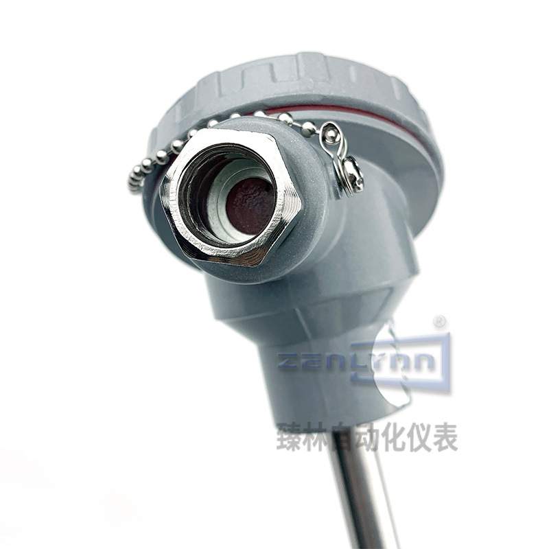 WRN2-231双支热电偶K型Φ12mmM27*2插深350mm四线制双芯热电偶