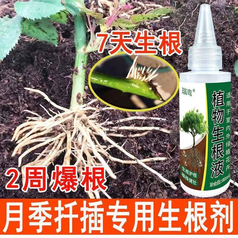生根药水复活液枯树再生液【扦插神器】月季专用生根剂生根壮苗剂