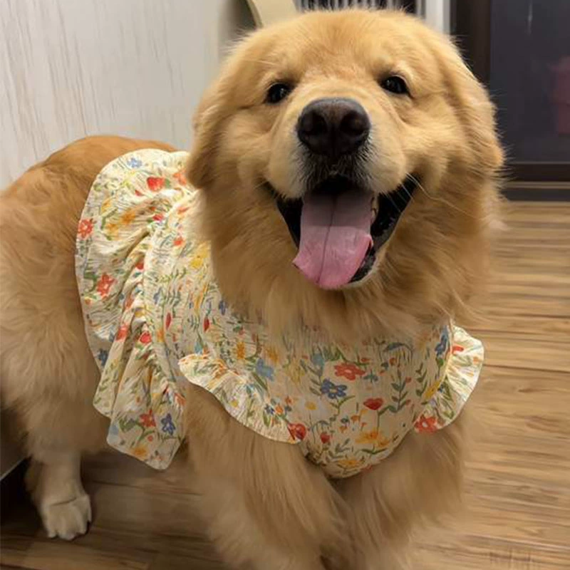 狗狗夏天衣服可牵引中小型犬夏季