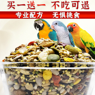 欧德尔鹦鹉金刚灰鹦鹉小太阳凯克和尚带壳无壳粮食中大型专用饲料