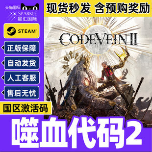 Steam 噬血代码2 嗜血代码2 CODE VEIN II 国区激活码CDKey 正版