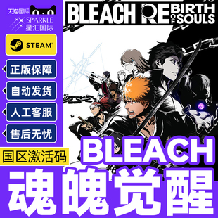 Steam游戏 死神魂魄觉醒 BLEACHSteam魂魄觉醒国区激活码CDKey