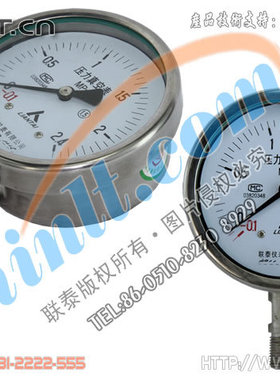 YZ100B-F 全不锈钢压力真空表 联泰