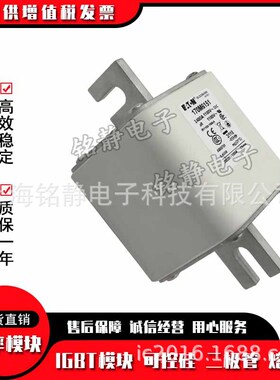 170M6108 170M6109 170M6110巴斯曼保险丝170M6111巴斯曼170M6112