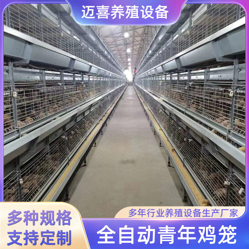 立式全自动化养殖青年鸡笼大型设备加粗鸡笼子自动清粪框架鸡笼子