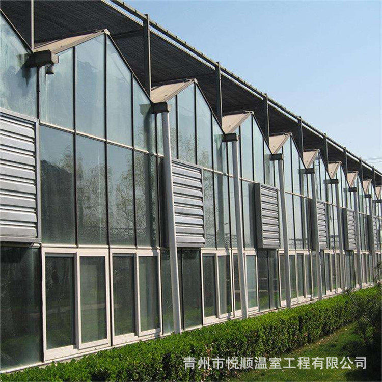 智能温室 新型蔬菜大棚骨架智能大棚 玻璃温室 连栋温室厂家供应