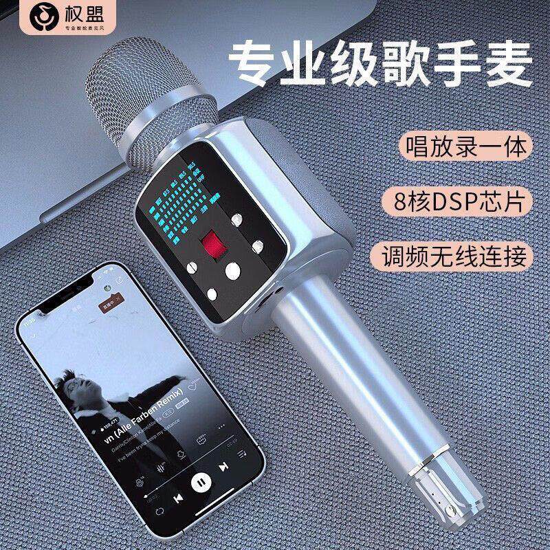 权盟 R2麦克风话筒音响一体炫声麦手机无线蓝牙专业全民户外K歌