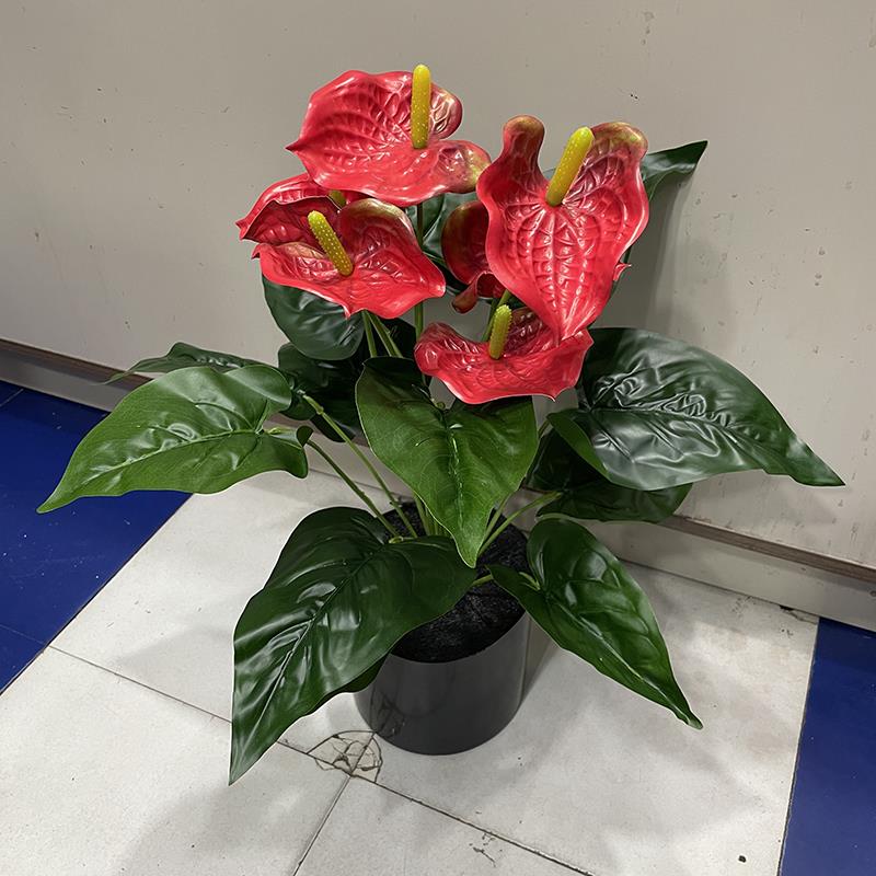 红掌花束塑胶材质仿真红花天南星科花烛花箱花盆装饰舞台布置掌花