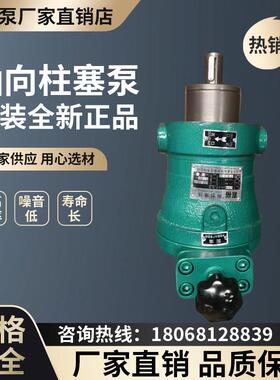轴向柱塞泵10/25/63/80/160/250SCY14-1B手动变量泵