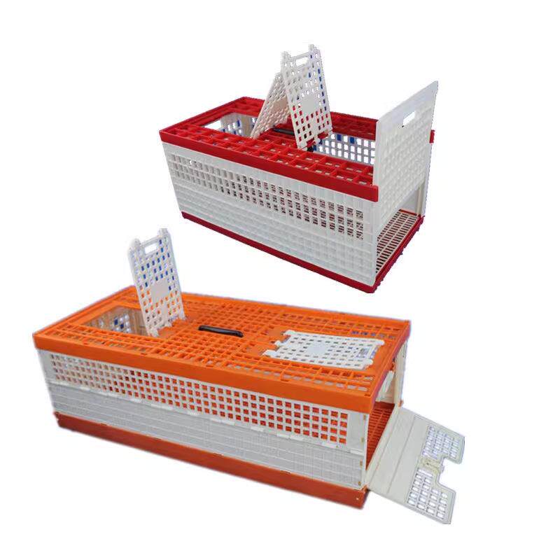 鸽子塑料放飞笼训放笼折叠式塑料运输笼鸽具用品赛鸽鸽笼