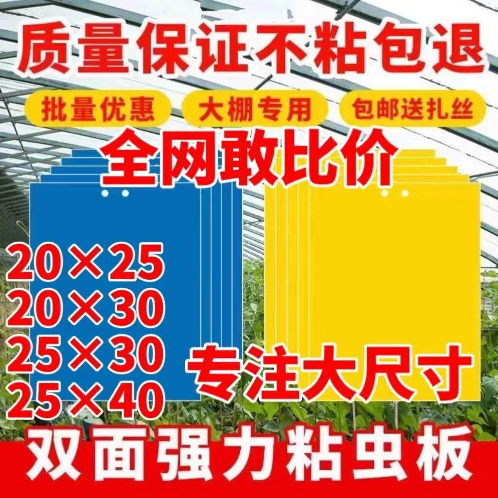 厂家直销黄蓝双面粘虫板大棚果树菜园诱虫板粘小黑飞蓟马防虫粘板