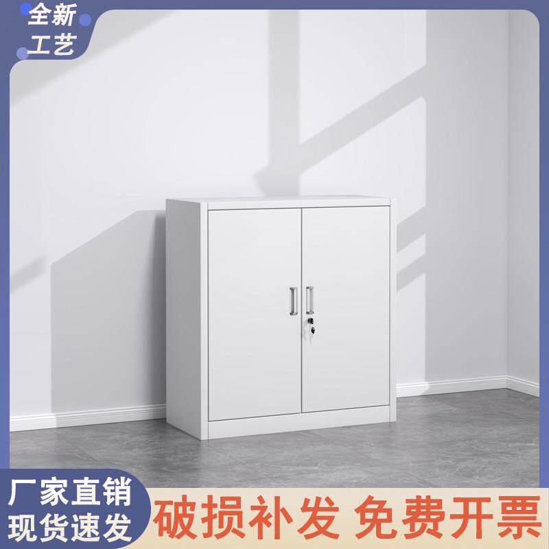 上海分双下节矮柜带锁钢制办公文件柜财务多层凭证柜档案柜更衣柜