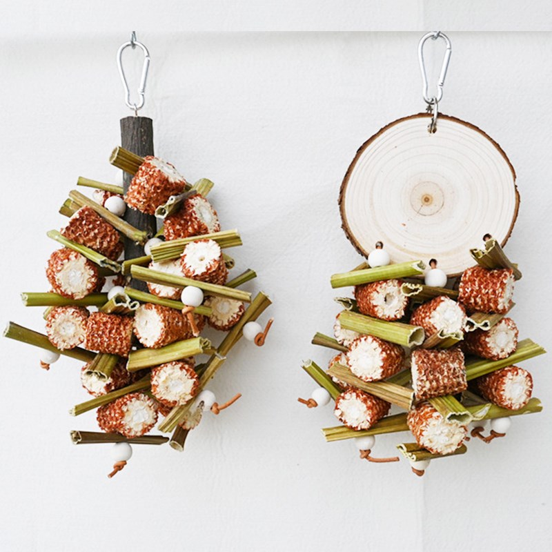 鹦鹉墨鱼骨啃咬挂串鸟杨桃玉米磨坚果秋千玄风牡丹虎皮用品玩具