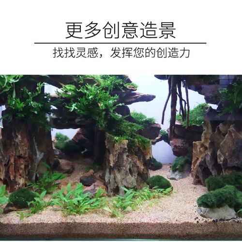 鱼缸底砂造景装饰石头河沙子细天然底沙海雨花石鹅卵石养乌龟过滤