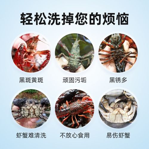 洗虾粉小龙虾清洗剂生物除锈酶柠檬酸商用家用大闸蟹清洗神器去污