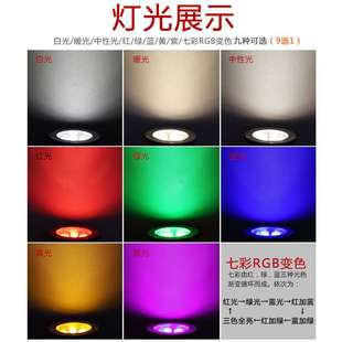 LED户外鸟巢灯仿真鸟窝灯景观园林照树灯园林亮化灯射树灯投光灯