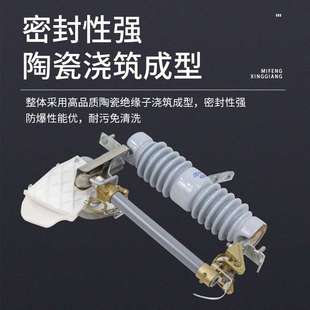 厂家供应 熔断器带灭弧罩RW12柱上令克开关保险 跌落式