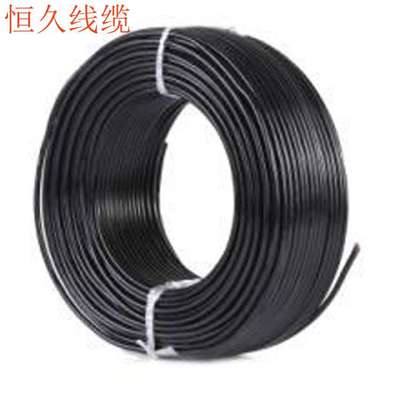 RVV2X1平方电缆线 2芯1平方灯具电器电源线圆形软线纯铜线