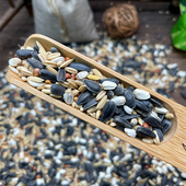 炫料中型鹦鹉营养混合粮玄凤专用鸟粮牡丹M鸟食鸟饲料5斤装 包邮