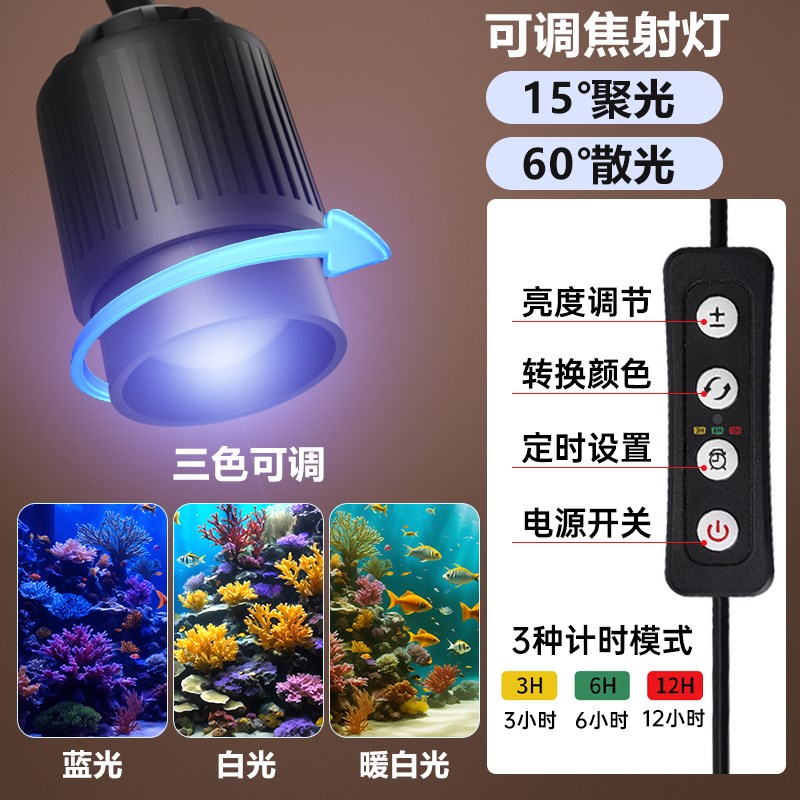 背滤海水缸全套设备客厅小型桌面B珊瑚造景方缸超白玻璃小丑鱼海