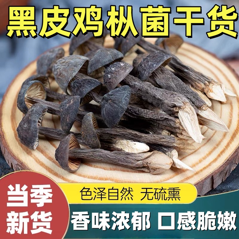 【农科院爆款】黑皮鸡枞菌干货