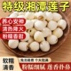 特级湘潭莲子干货500g莲子无芯去芯百合贡莲子白莲子官方旗舰店
