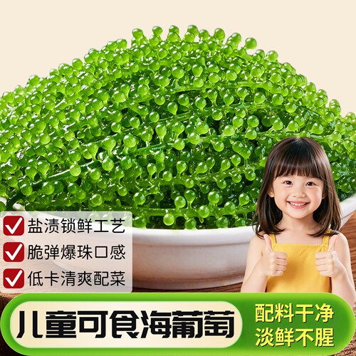 【全网热销】营养新鲜盐渍海葡萄