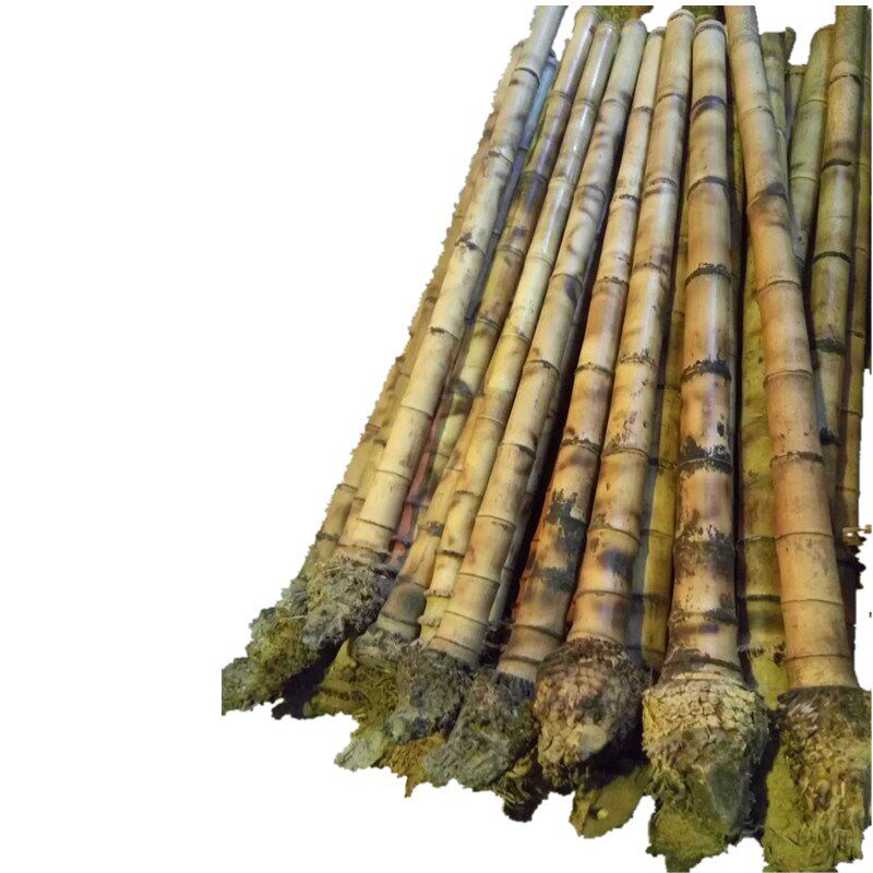 精品毛竹南箫料 福建南音洞箫料 烤好调直琴箫料十目九节批零定制