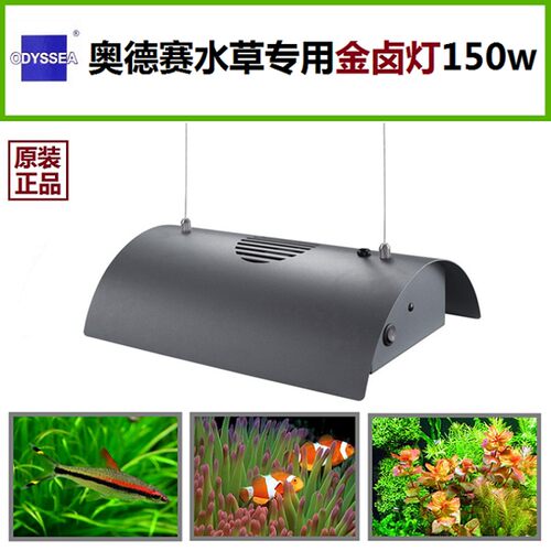 奥德赛  珊瑚硬骨金属卤素吊灯 水草金卤灯 水族配风扇灯具 150W