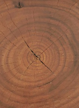 原木墩底座侘寂风方形柱子雕塑民宿茶室客厅玄关用落地复古风摆件