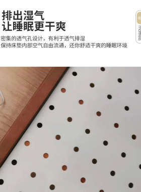 环保pp洞洞床板垫片整块静音床垫加硬龙骨床架实木排骨架加密神器