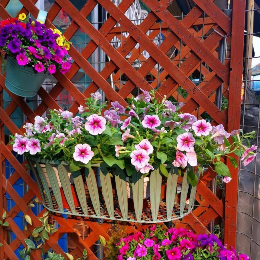 艺挂式盆架子简约铁室内阳台挂墙壁绿植QRP架多肉盆栽置花物架收