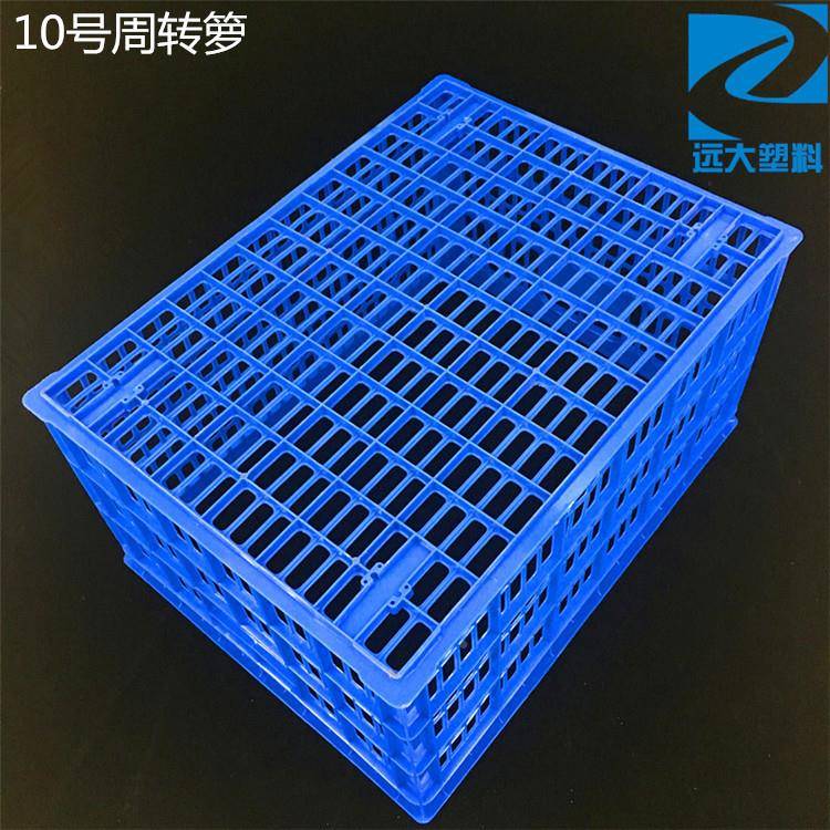 10号周转萝塑料周筐长方形水果转蔬菜胶篮孔子GHA有收纳整理筐塑