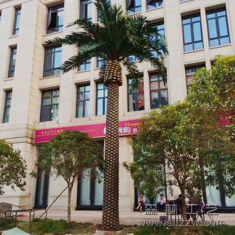 室外游艺设施配套景观人造海枣树仿真加拿利海藻树东莞