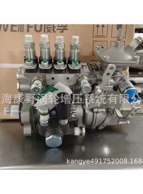 喷油泵BHF4PM105312 4PM196 JS3HA11011和4PM1102 JS3HA110041