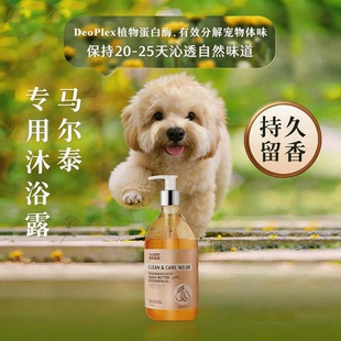 马尔泰专用沐浴露持久留香狗洗澡沐浴露天然宠物香波浴液杀菌除臭