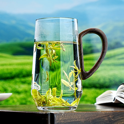 绿茶玻璃杯带把手泡茶杯女高颜值女士个人专用单层水杯轻奢高级感