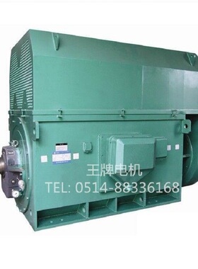 Y5002-10 450KW 6000V厂家生产供应高压电机