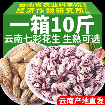 新货云南七彩花生新鲜带壳晒干