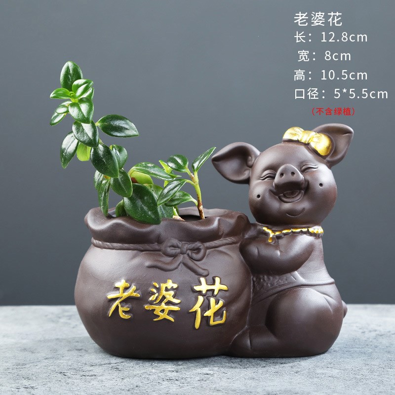 速发创意绿萝水培花瓶铜钱草插花花盆水养植物容器家用桌面小摆件