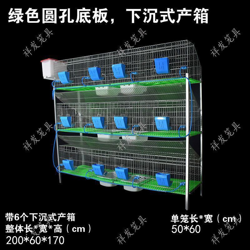 速发兔笼全套兔家窝用养殖专业自动清理特大号位繁殖12位子母兔子