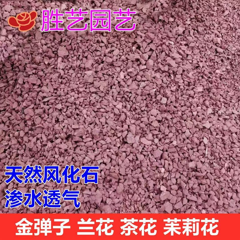 速发风颗粒黄杨清香木岩柏土扦插生根多肉土兰花苿莉