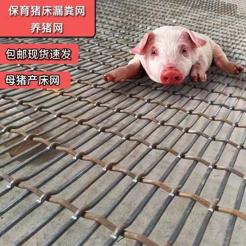 速发猪床网养猪漏粪网漏铁丝网狗殖钢粪板育肥猪床网产床养笼漏粪