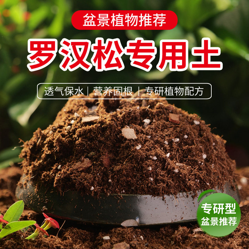 速发罗汉松专用土疏松透金桂花金弹树气枝玉叶小叶紫檀松子榕树盆