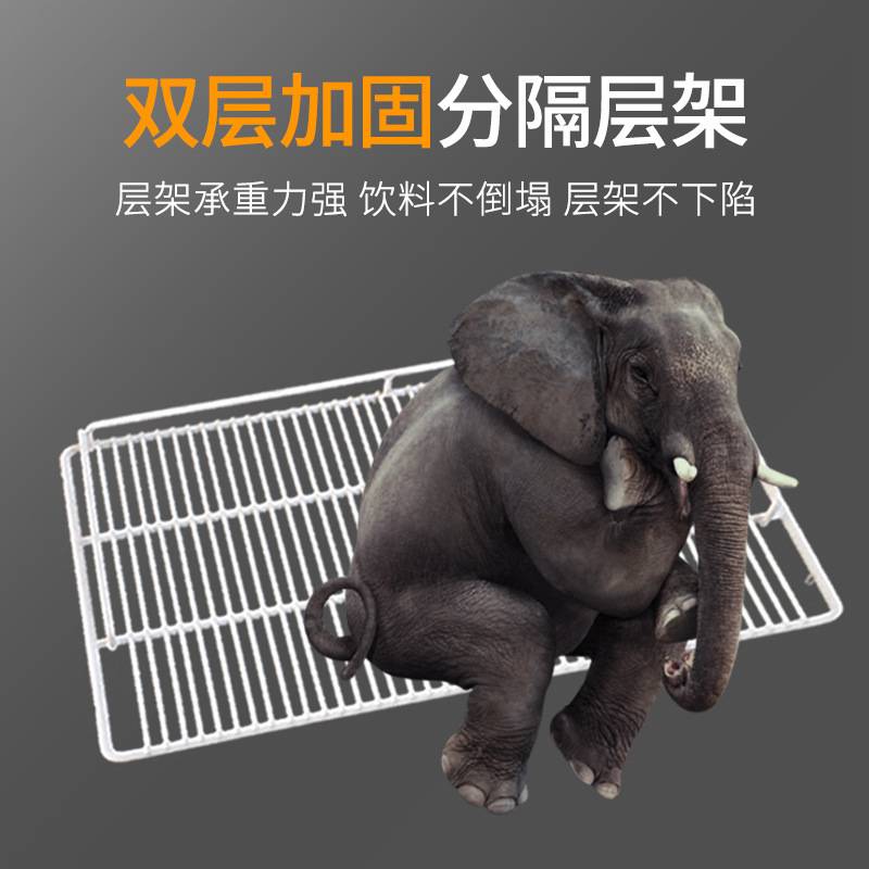 饮料展示柜单温保鲜柜啤酒蔬菜水果立式冷藏商用冰柜便利店单双门