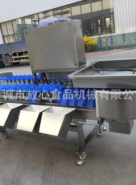 蜜薯机分选机蛎子鸡腿重量分选红海薯蜜薯86017称重分选机