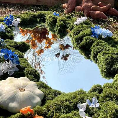 仿真小苔藓丝草坪仿生青苔装JKC景观绿植草盆景造景铺面假藓苔饰