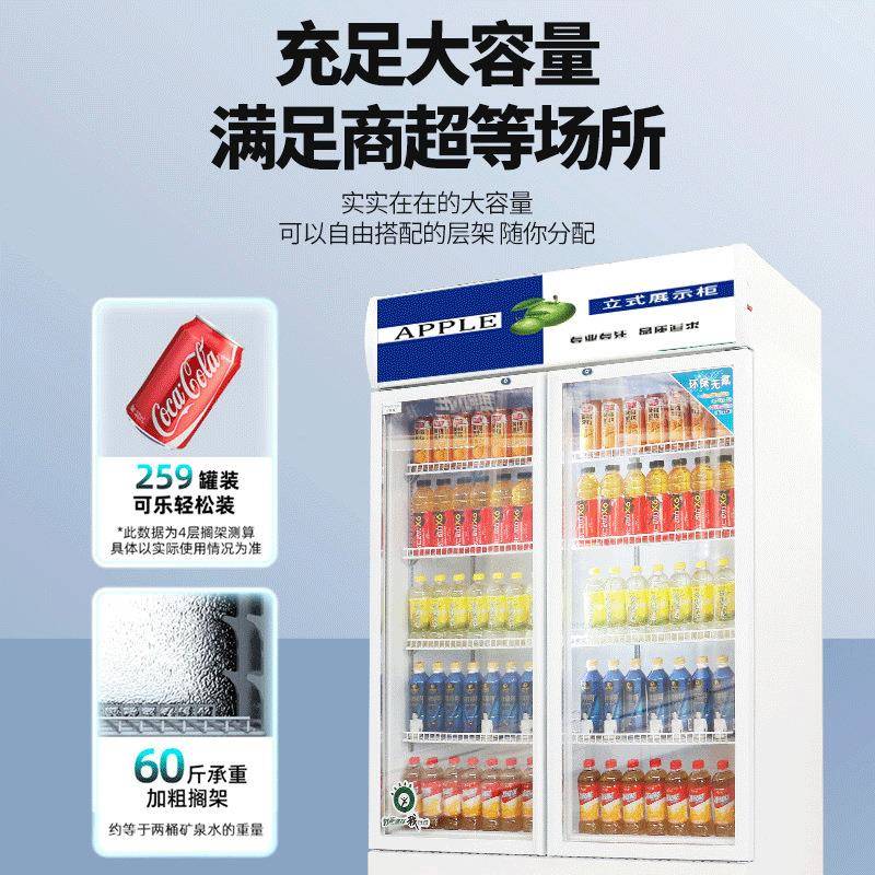 啤酒柜冷柜商用门保鲜柜便利店柜18饮料展示单双三立式风藏冷展示
