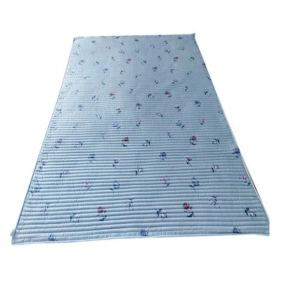 志成多维蒙稷凉席大床用夏季冰凉透气纯植物黍子填充成人儿童床垫